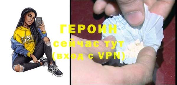 гидра Вяземский