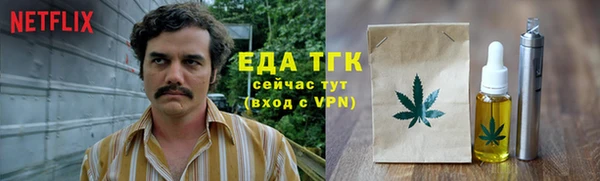 гидра Вяземский