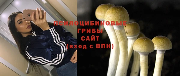ГАЛЛЮЦИНОГЕННЫЕ ГРИБЫ Волосово