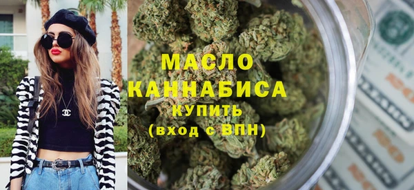 гидра Вяземский