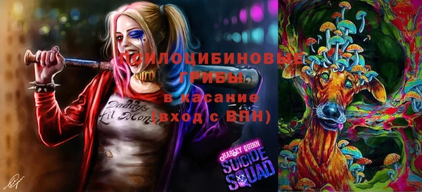 ГАЛЛЮЦИНОГЕННЫЕ ГРИБЫ Волосово