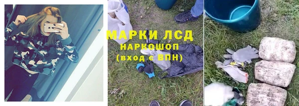 гидра Вяземский