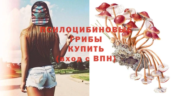 ГАЛЛЮЦИНОГЕННЫЕ ГРИБЫ Волосово