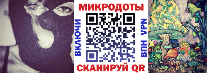 Псилоцибиновые грибы Psilocybe  Купить закладки  Буинск 