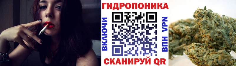 Конопля White Widow  Купить закладки  Буинск 
